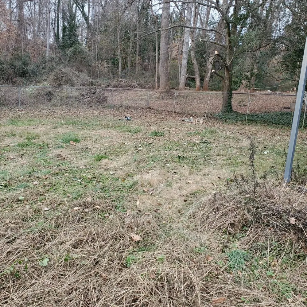 Affordable landscape installation for residential properties across Inman, SC - J&K Property Clean Up