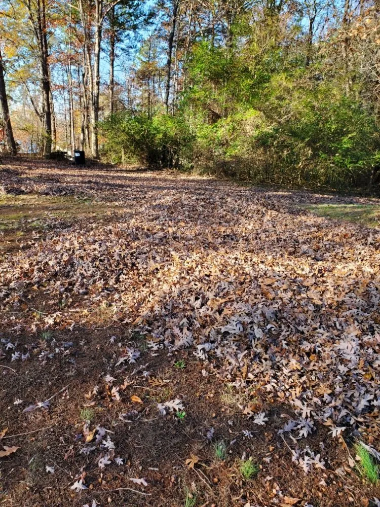 Trusted landscaping services in Inman, SC by J&K Property Clean Up