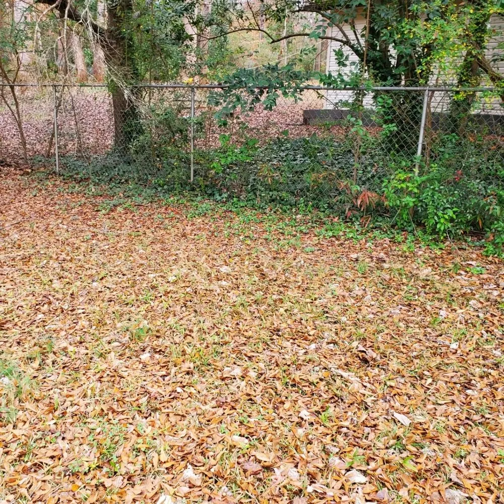 Top-rated yard maintenance experts serving Inman, SC - J&K Property Clean Up