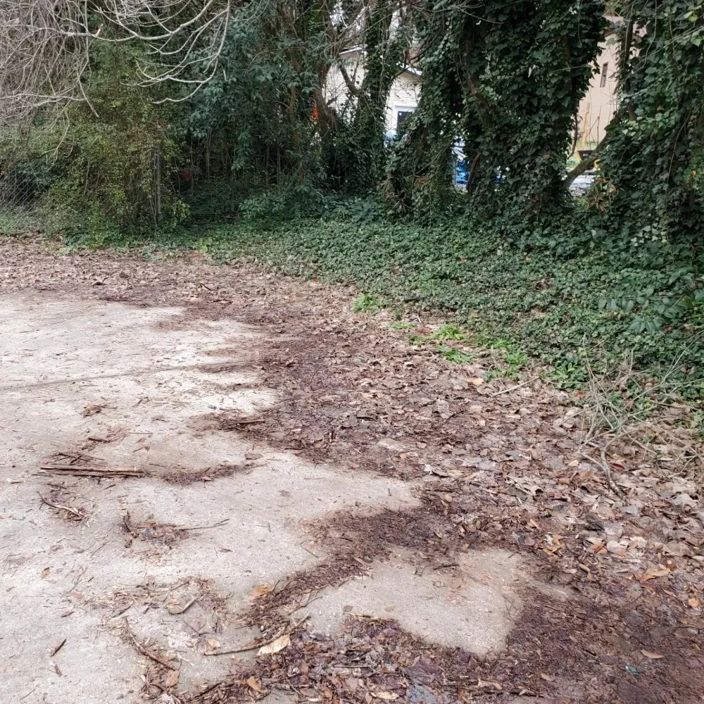 Expert landscape design with custom design in Inman, SC by J&K Property Clean Up