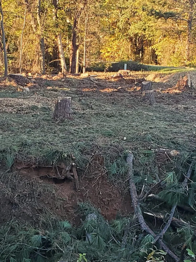 Trusted yard maintenance in Inman, SC by J&K Property Clean Up