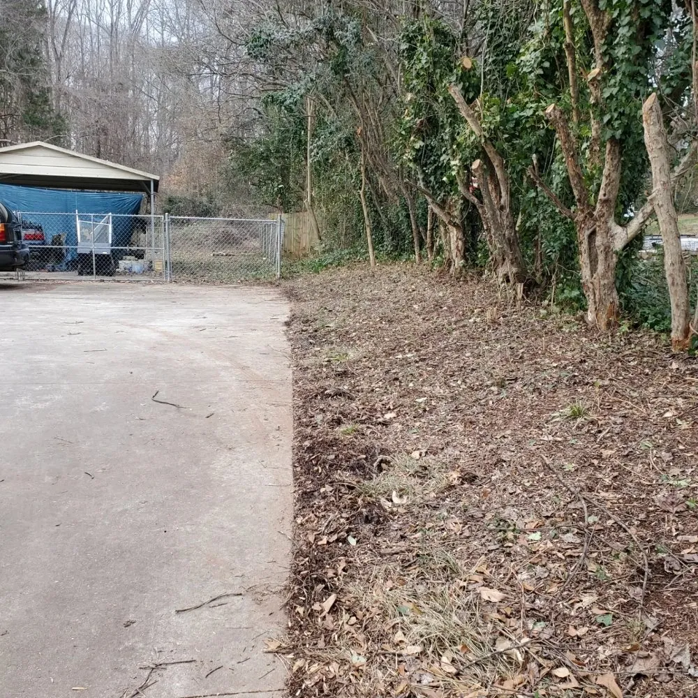 Top-rated yard maintenance experts serving Inman, SC - J&K Property Clean Up