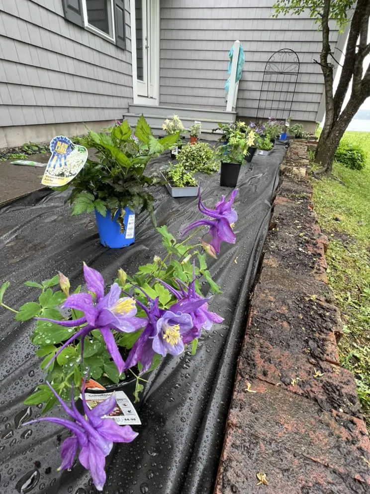 Reliable yard maintenance in Auburn, NY by J&K Property Solutions