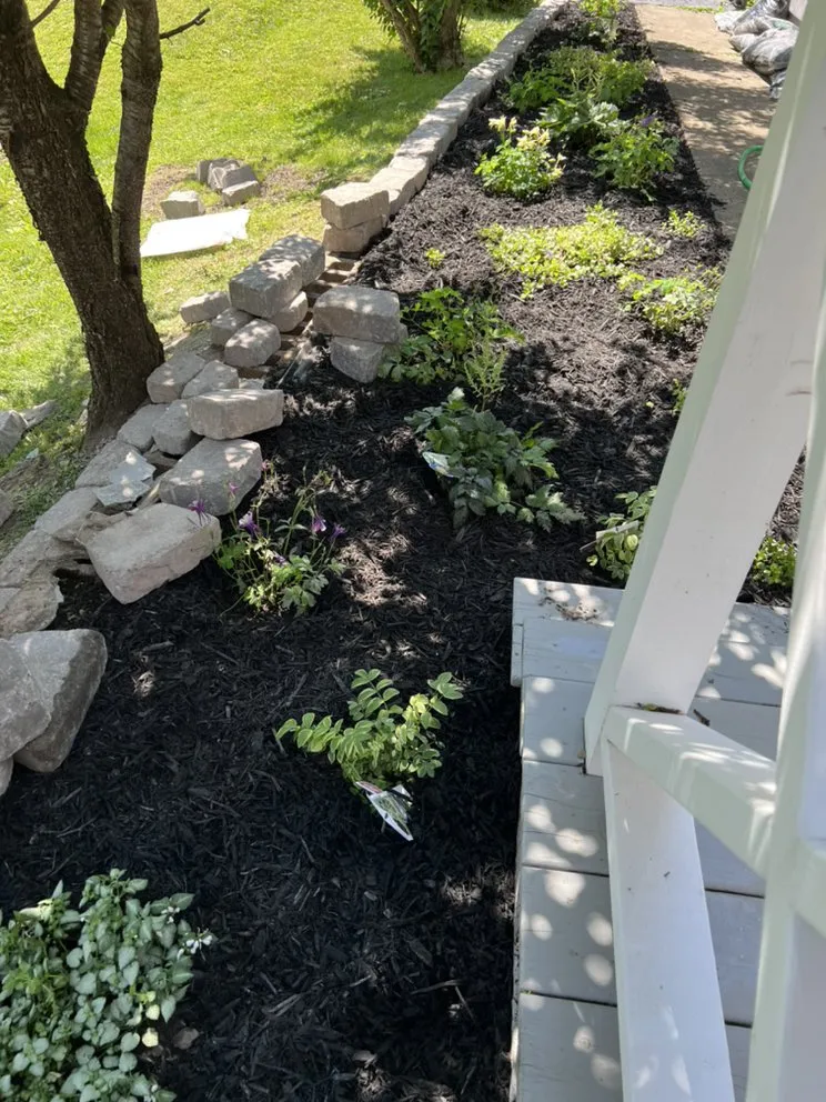 Professional yard maintenance in Auburn, NY by J&K Property Solutions