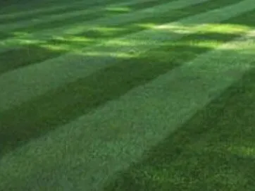 Trusted yard cleanup service for residential properties in Oconomowoc, WI by JK Seasonal Services