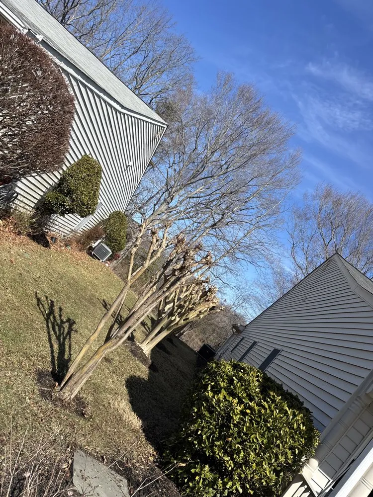 Affordable landscaping services experts serving Edgewater, MD - Jk Service Landscaping