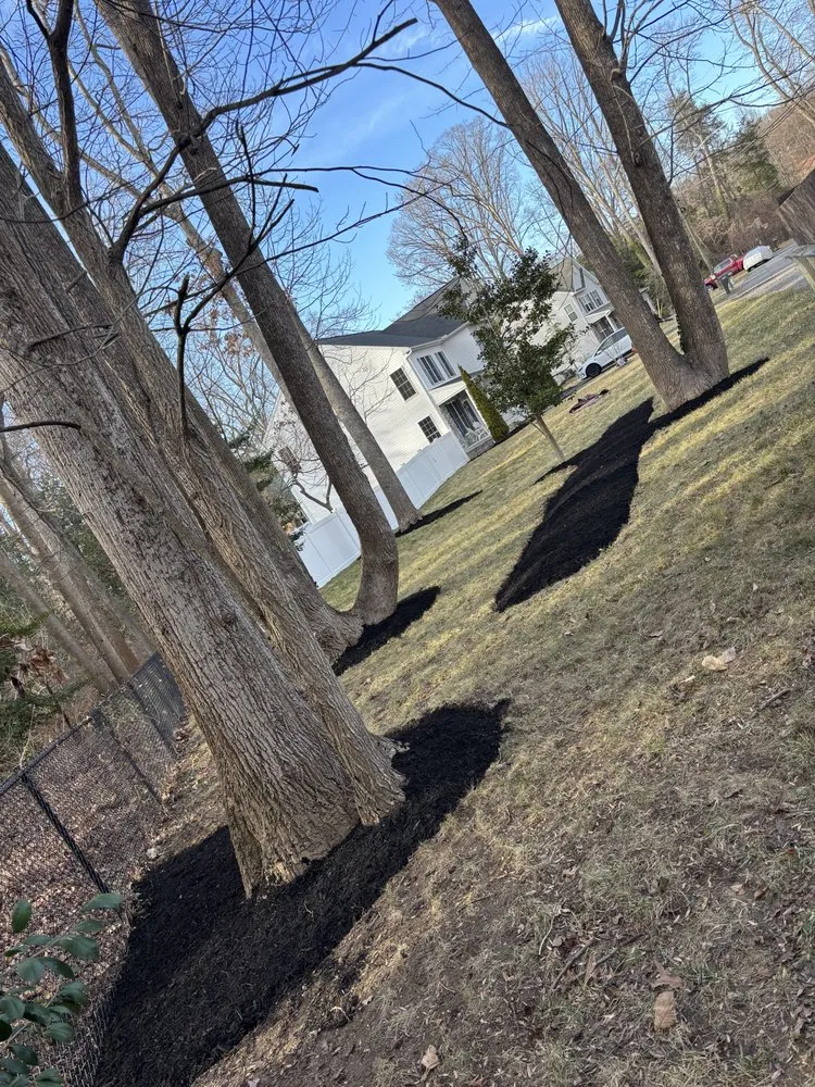 Top-rated lawn care service in Edgewater, MD by Jk Service Landscaping