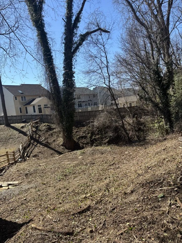 Professional yard cleanup service in Edgewater, MD by Jk Service Landscaping