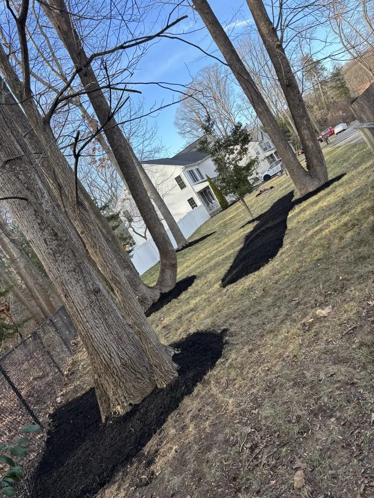 Affordable landscape installation experts serving Edgewater, MD - Jk Service Landscaping