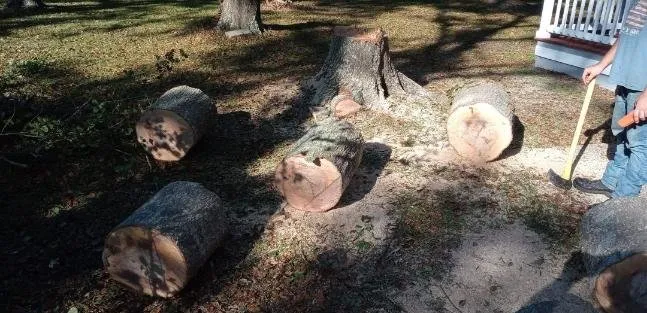 Local lawn mowing service in Cairo, GA - J&K Tree Service