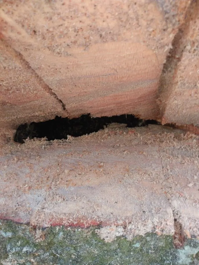 Affordable landscaping services with custom design across Cairo, GA - J&K Tree Service