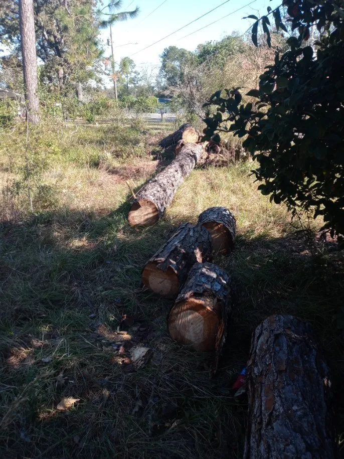 Expert landscape installation in Cairo, GA by J&K Tree Service
