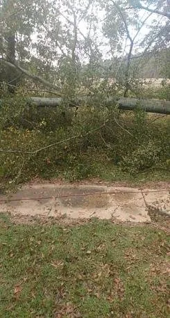 Affordable lawn care service in Cairo, GA - J&K Tree Service