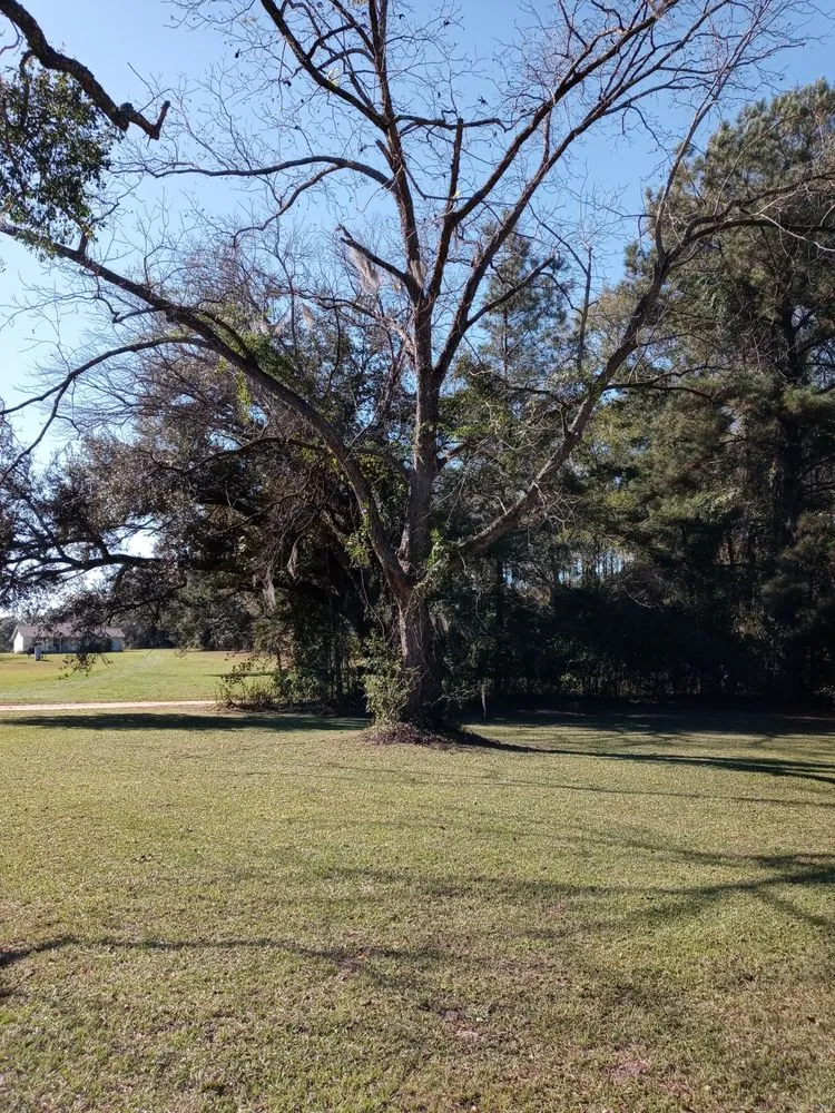 Expert landscape installation in Cairo, GA - J&K Tree Service