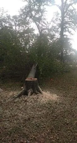 Top-rated lawn mowing service in Cairo, GA - J&K Tree Service