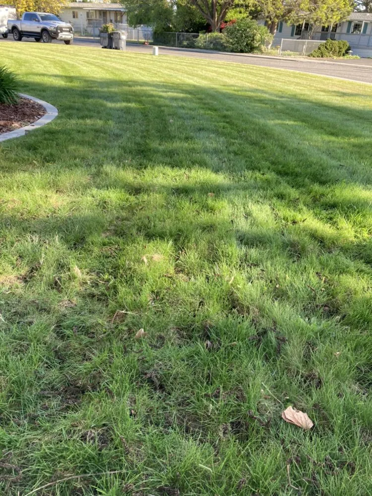 Local landscape design experts serving West Richland, WA - JKay Home Maintenance