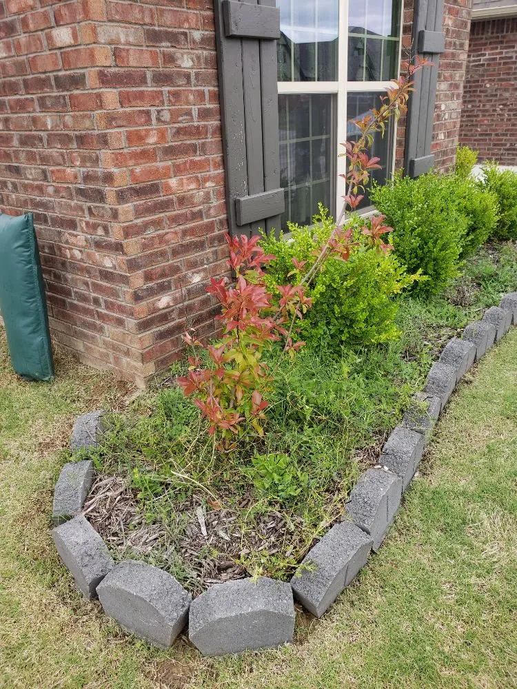 Affordable landscape design for year-round maintenance in Tulsa, OK by JKCL