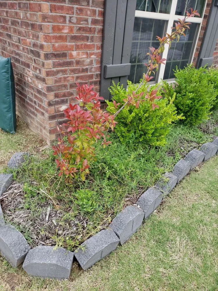 Trusted yard cleanup service experts serving Tulsa, OK - JKCL