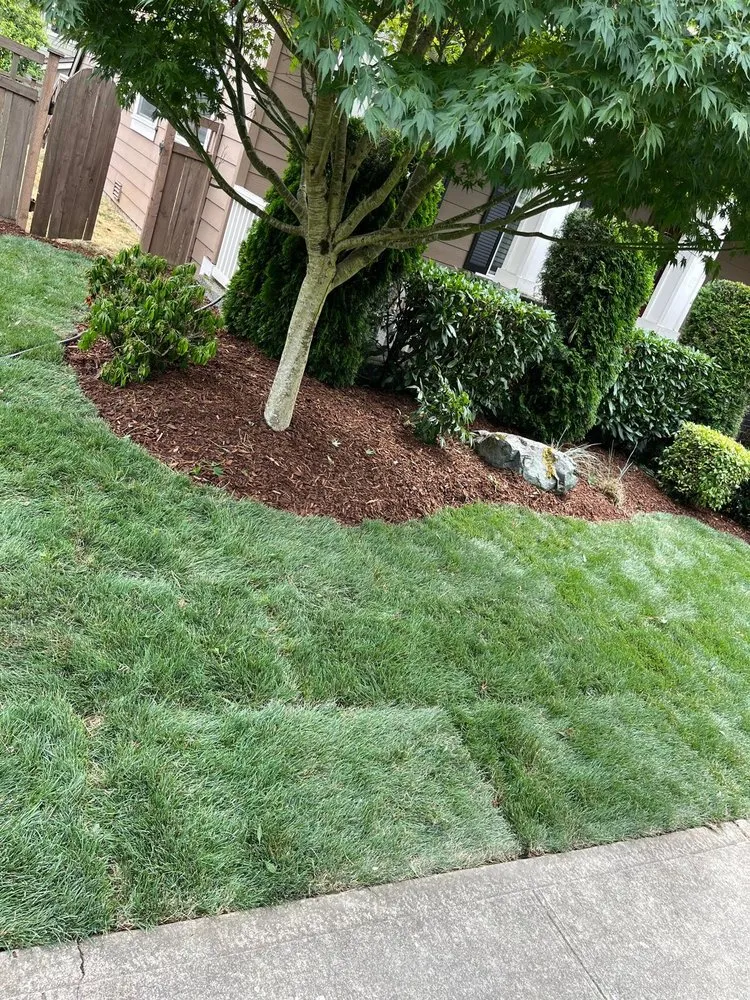 Custom lawn mowing service in Seattle, WA - JKD Landscapey Contruccion