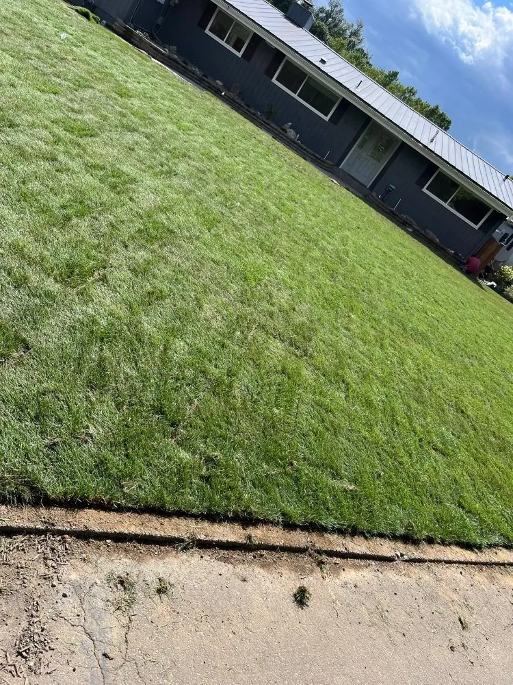 Top-rated garden landscaping for residential properties across Seattle, WA - JKD Landscapey Contruccion