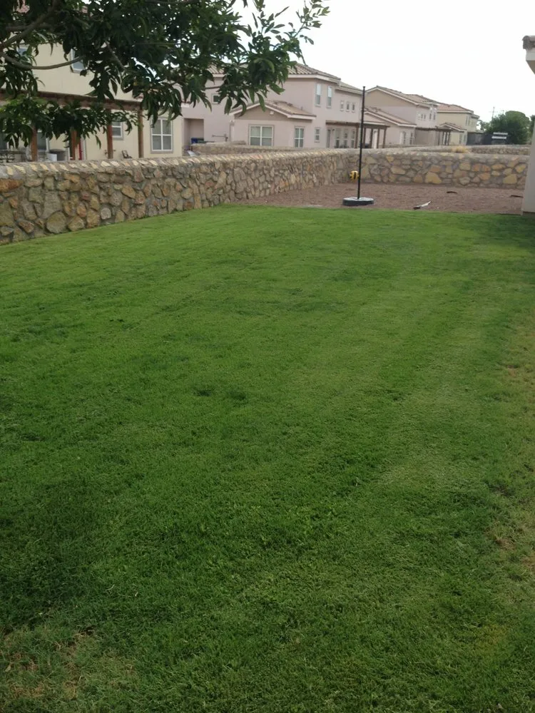 Top-rated outdoor landscaping for beautiful yards in Harker Heights, TX by JKJ Elite Lawn Care
