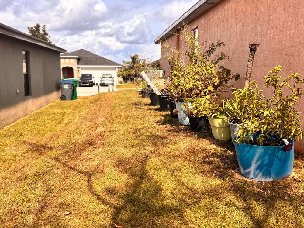 Reliable landscaping services experts serving Lakeland, FL - JKM Lawncare Services