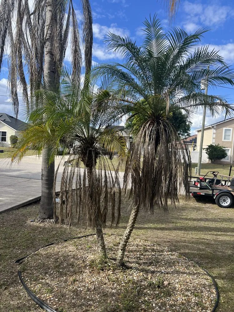 Top-rated outdoor landscaping for outdoor upgrades in Lakeland, FL by JKM Lawncare Services