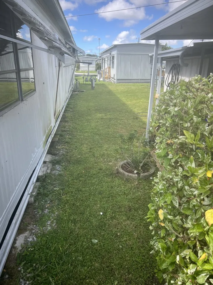 Affordable yard cleanup service in Lakeland, FL by JKM Lawncare Services