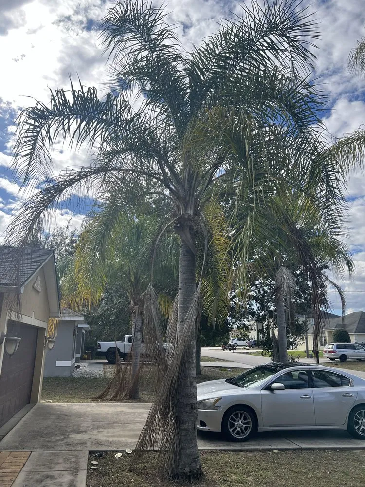 Custom lawn care service in Lakeland, FL - JKM Lawncare Services