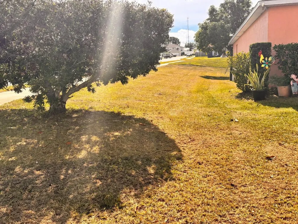 Local residential landscaping for homes across Lakeland, FL - JKM Lawncare Services