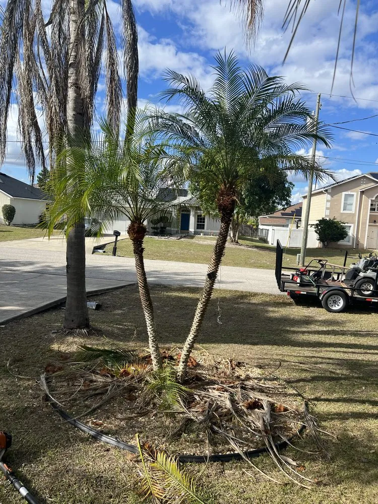 Top-rated residential landscaping in Lakeland, FL - JKM Lawncare Services