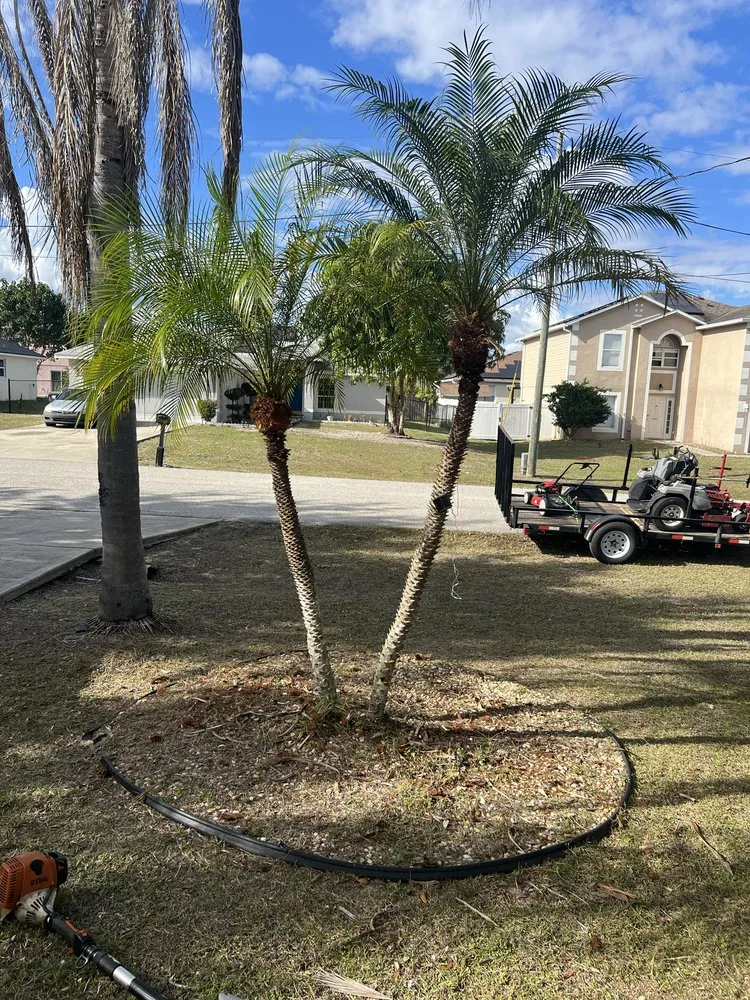 Reliable lawn mowing service in Lakeland, FL - JKM Lawncare Services