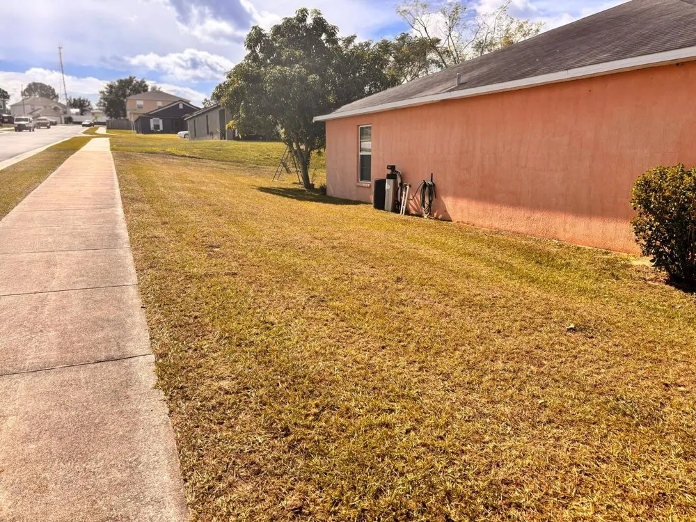 Affordable outdoor landscaping with custom design in Lakeland, FL by JKM Lawncare Services