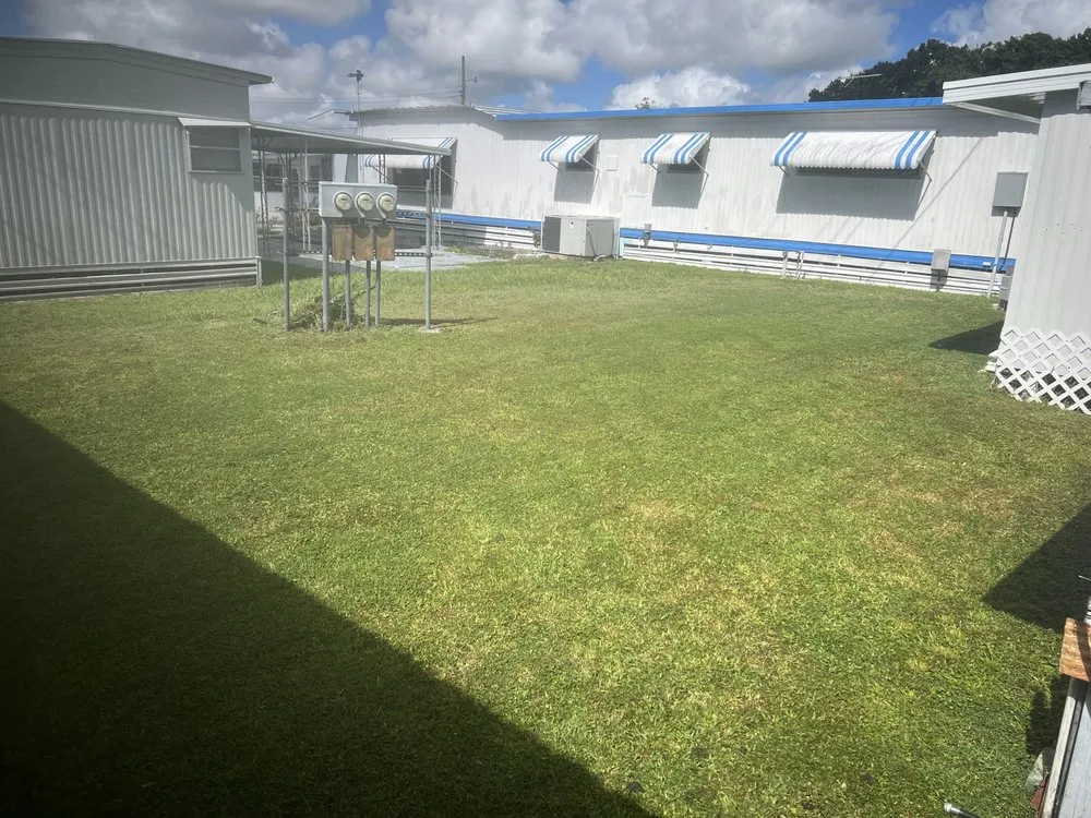 Expert landscaping services for beautiful yards in Lakeland, FL by JKM Lawncare Services