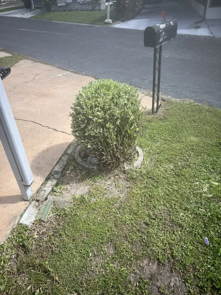 Trusted lawn care service near you across Lakeland, FL - JKM Lawncare Services