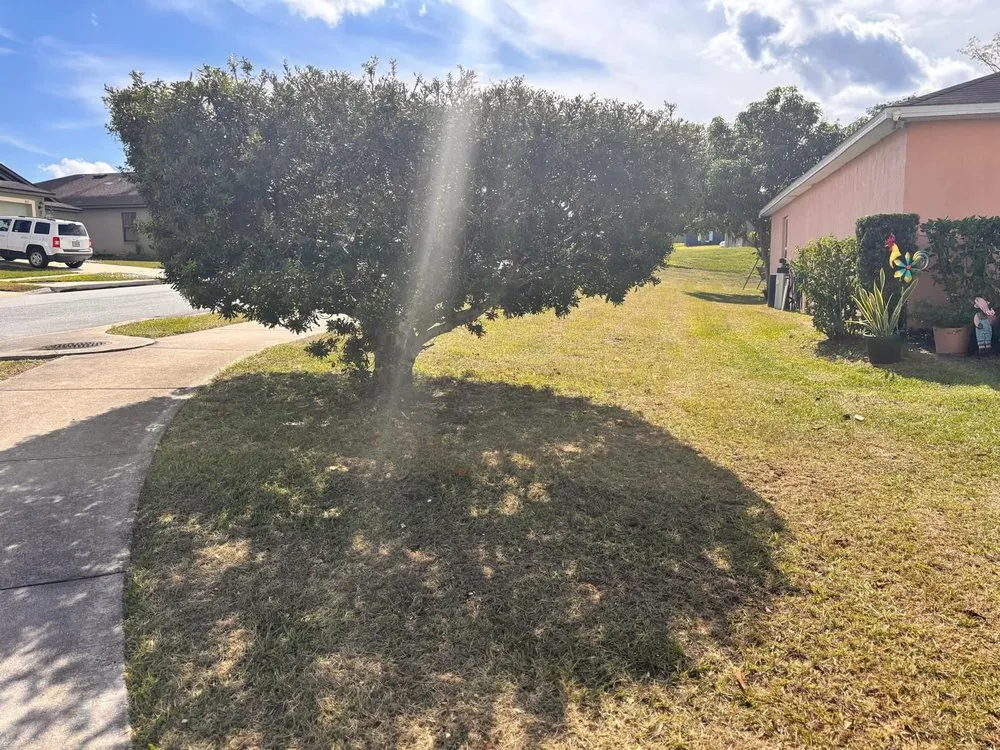 Trusted yard cleanup service for year-round maintenance across Lakeland, FL - JKM Lawncare Services