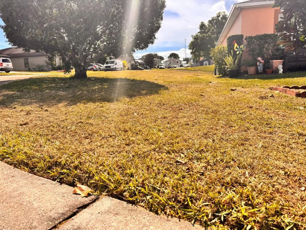 Affordable landscape design in Lakeland, FL - JKM Lawncare Services