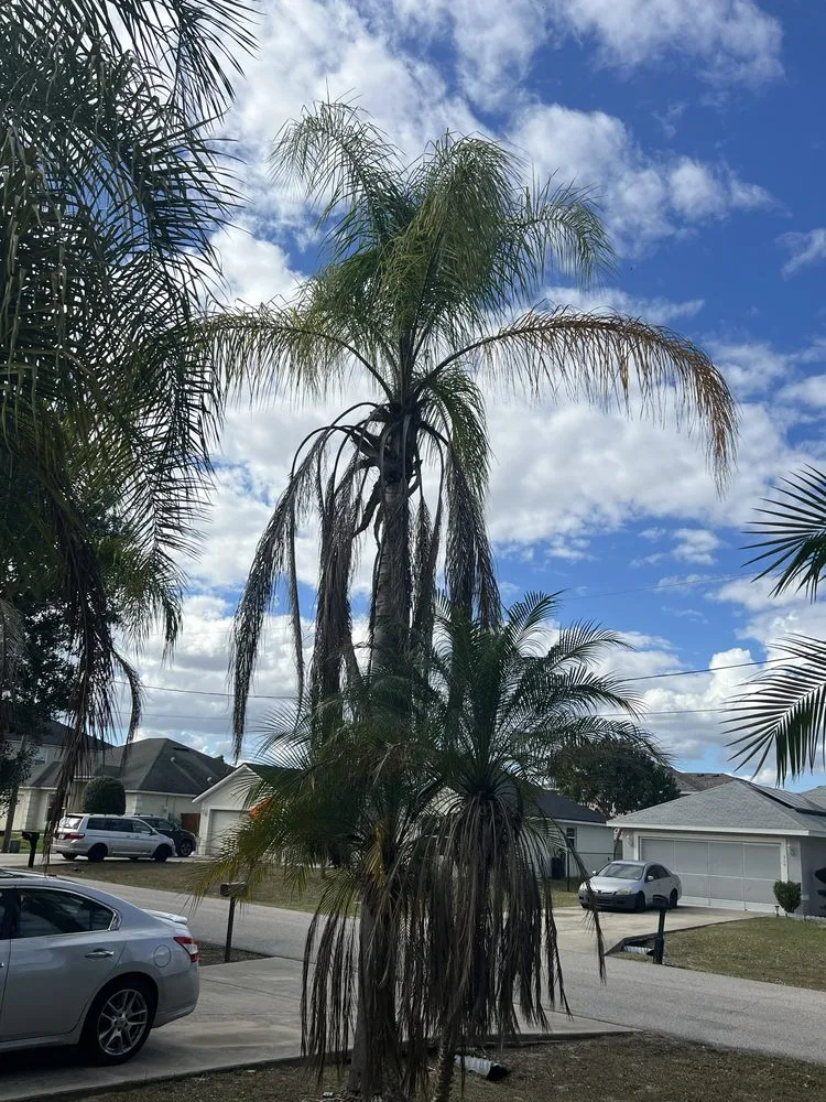 Affordable landscape design for year-round maintenance in Lakeland, FL by JKM Lawncare Services