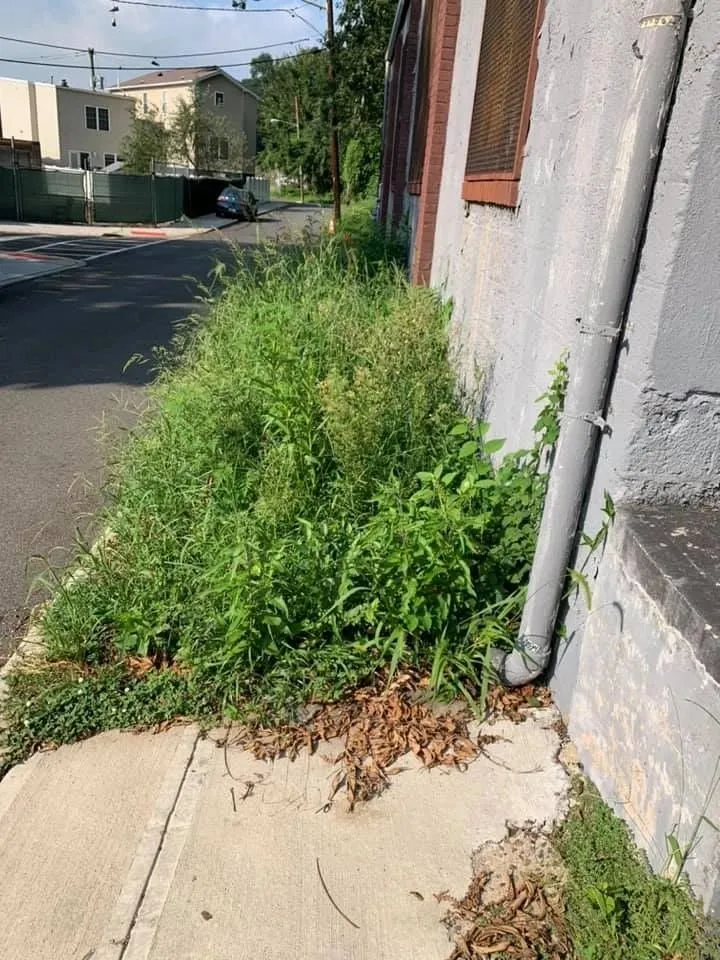 Top-rated landscape installation in Fort Lee, NJ - JKPOH Building Exterior And Landscape