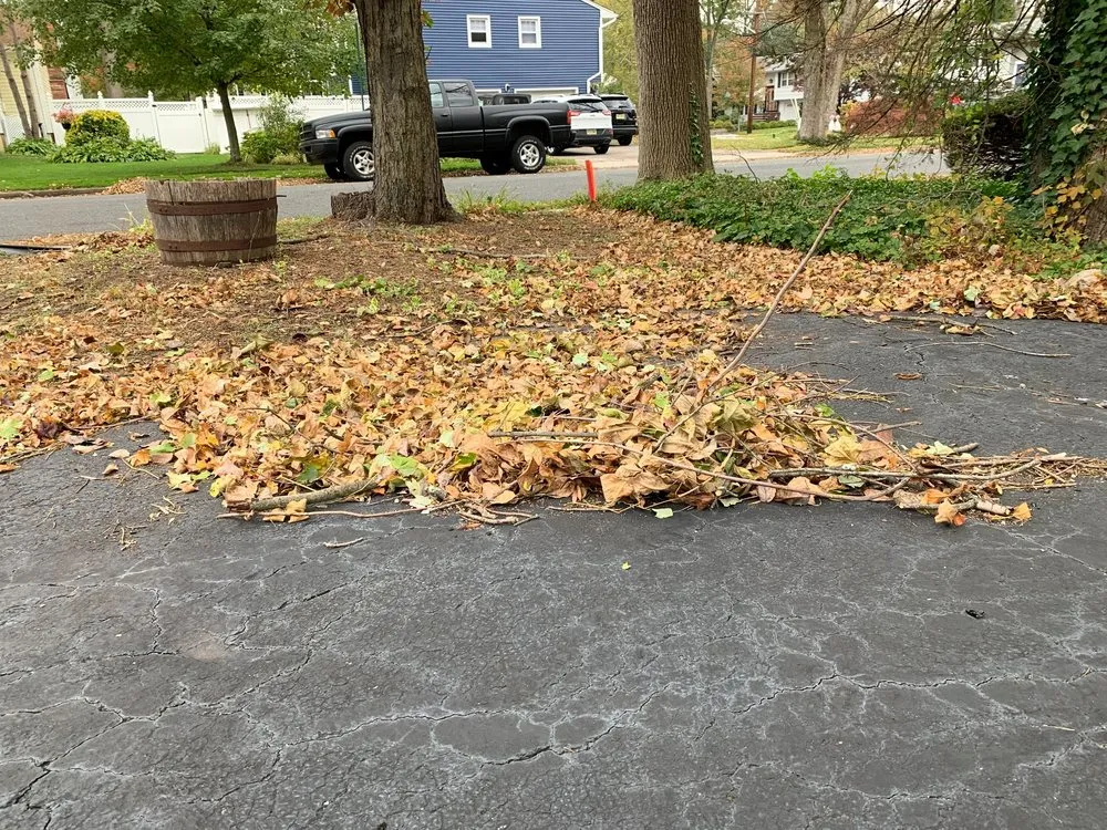 Local residential landscaping for residential properties across Fort Lee, NJ - JKPOH Building Exterior And Landscape