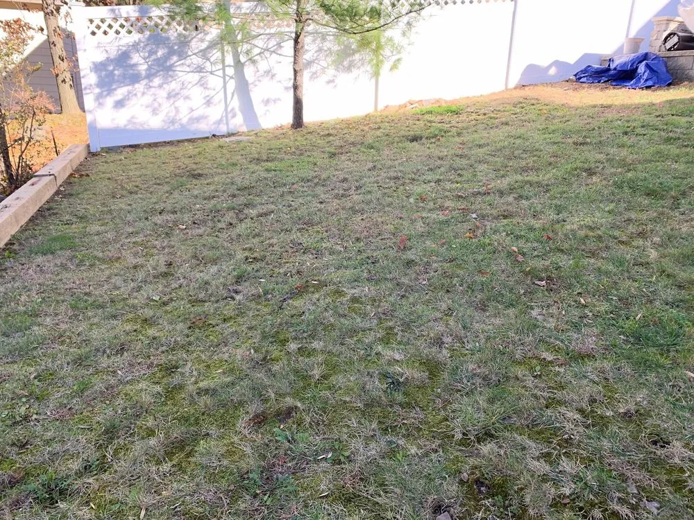 Reliable outdoor landscaping in Fort Lee, NJ by JKPOH Building Exterior And Landscape