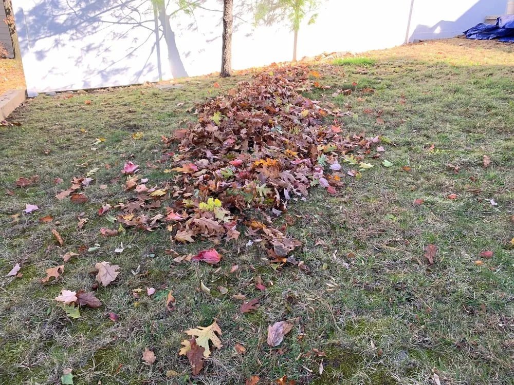 Trusted landscaping services with custom design across Fort Lee, NJ - JKPOH Building Exterior And Landscape