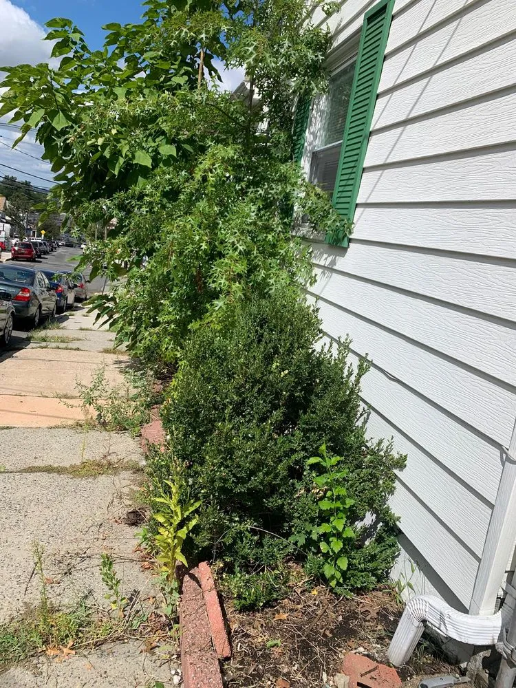 Local outdoor landscaping with custom design across Fort Lee, NJ - JKPOH Building Exterior And Landscape