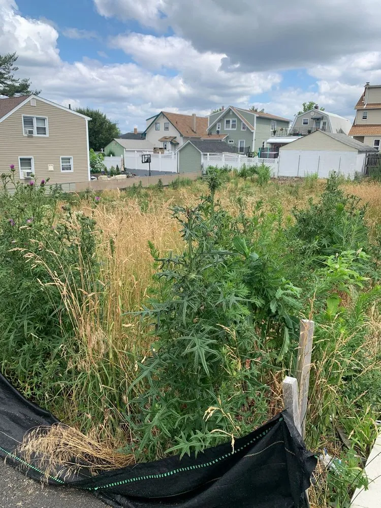 Trusted outdoor landscaping with custom design across Fort Lee, NJ - JKPOH Building Exterior And Landscape