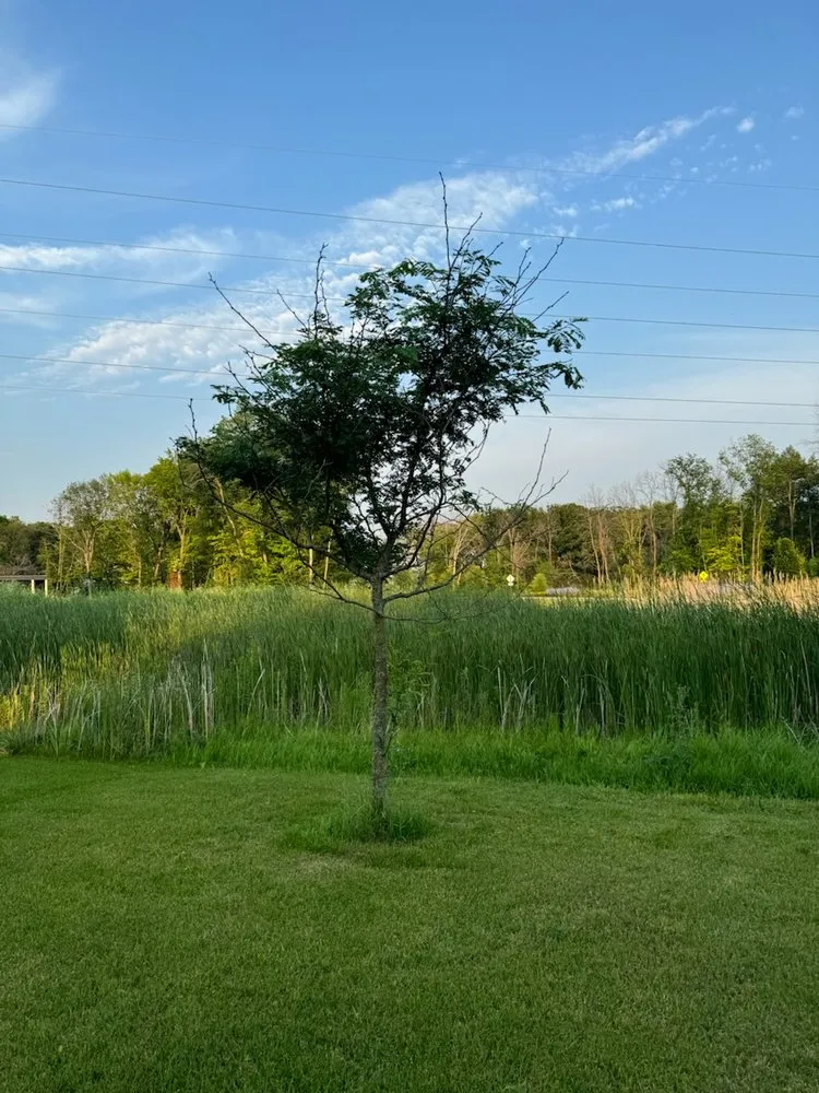 Reliable landscape installation in Elk River, MN - JKR Landscaping