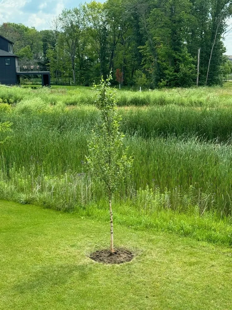 Custom landscape installation in Elk River, MN by JKR Landscaping