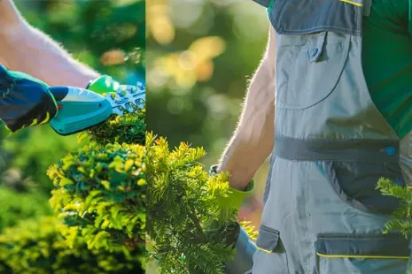 Reliable yard maintenance for homes across Elk River, MN - JKR Landscaping