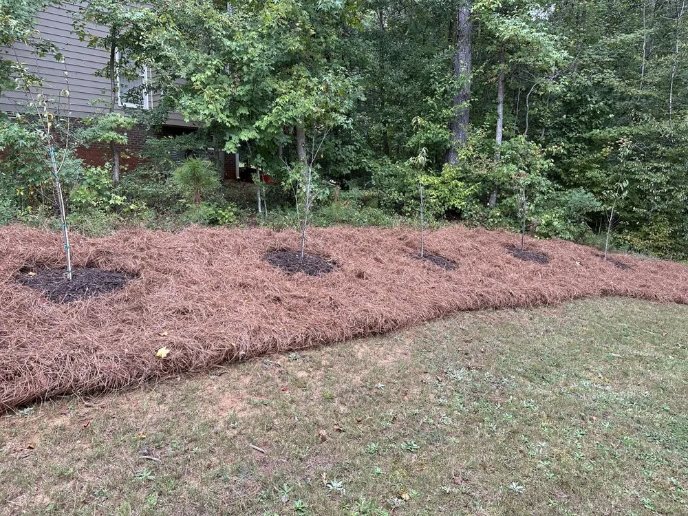 Top-rated landscape installation for beautiful yards in Greensboro, GA by JKR Services