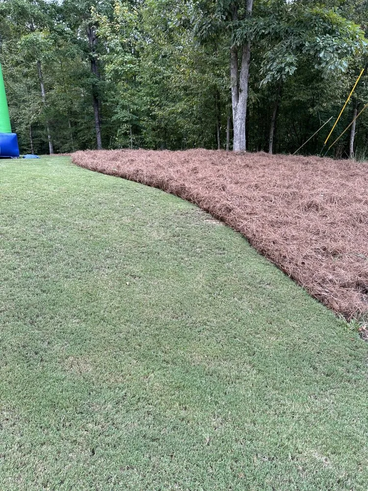 Professional outdoor landscaping in Greensboro, GA - JKR Services