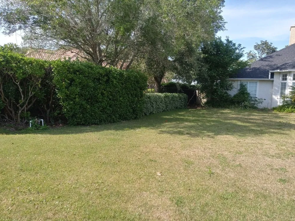 Professional yard maintenance with custom design in Panama City, FL by JKRedd Lawntrepenures